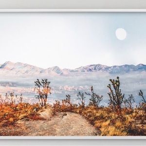 Desert Super Moon Framed Wall Art by Minted for West Elm